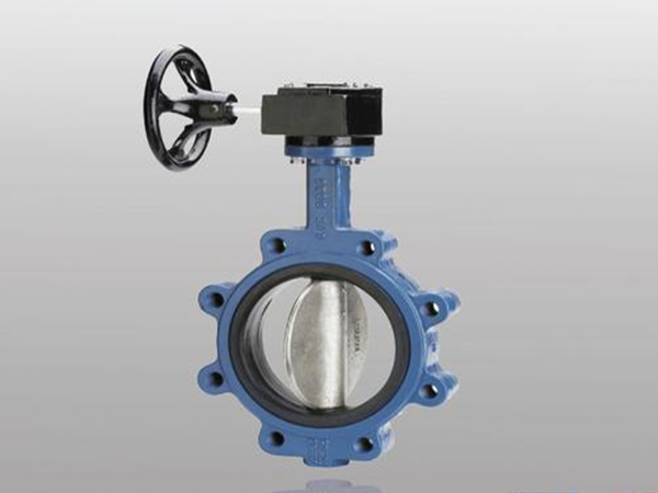 How to maintain the worm gear butterfly valve?