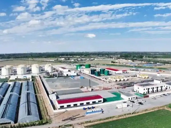 Bayan Oilfield Achieves Dual Growth in Output and Efficiency through Targeted Production and Stable Output Efforts